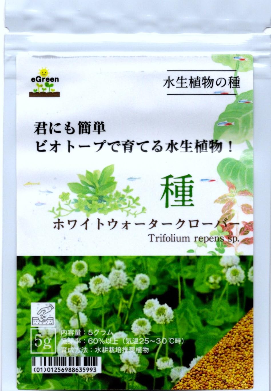 Amazon.co.jp: ノーブランド品水生植物の種ホワイトウォーター